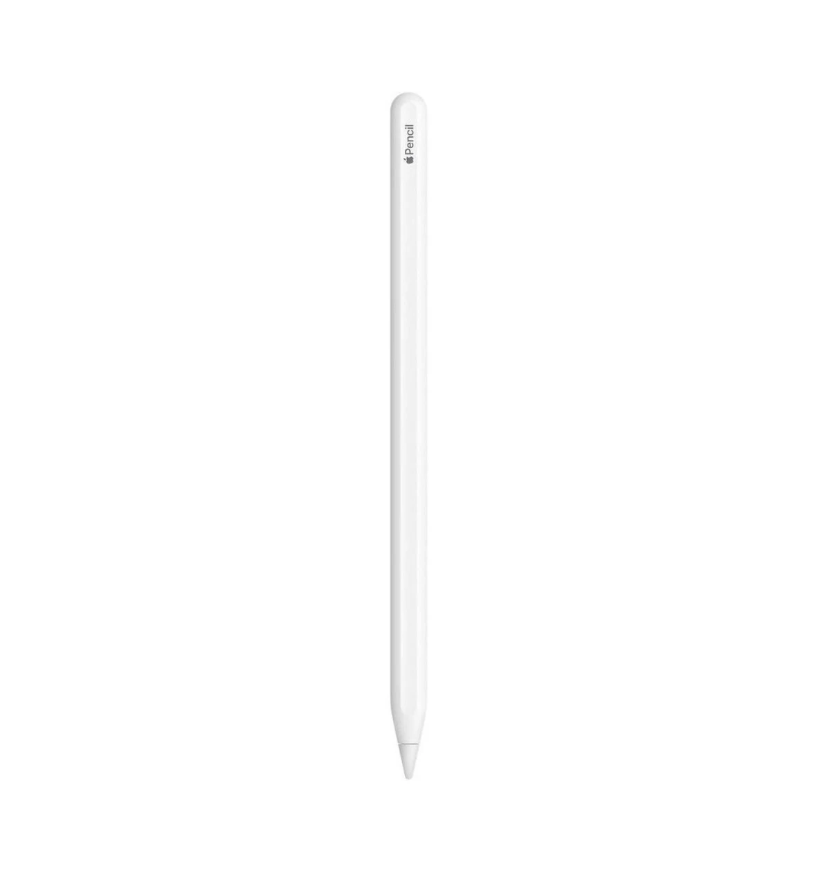 iPad Stylus ✏️
